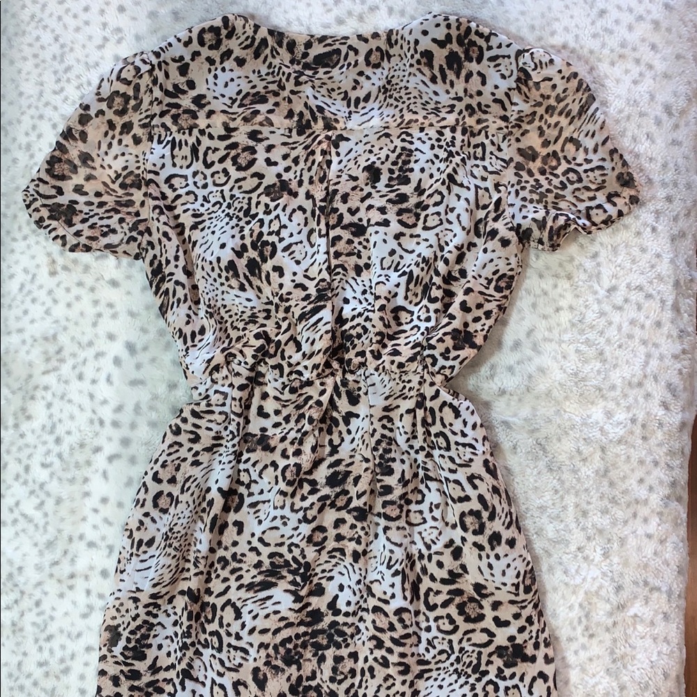 Knee length animal print dress